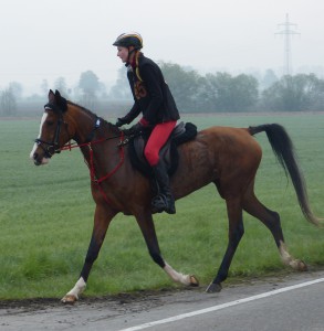 Clara Haug 20.4.2014