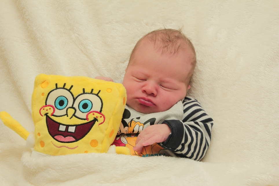 356_KN303_01311989_TRAUTMANN-313157_Bild-fuer-Zeitung