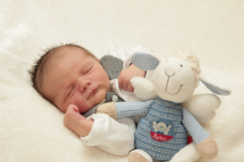 356_KN303_01313428_REMUS-315688_Bild-fuer-Zeitung