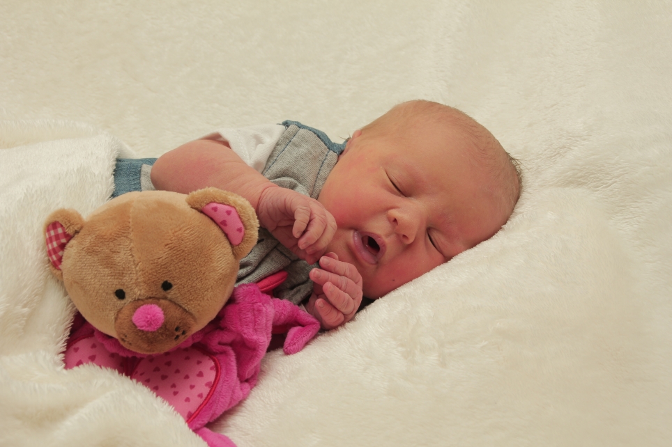 356_KN303_01313813_SCHUBERT-316189_Bild-fuer-Zeitung