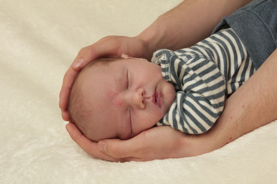 356_KN303_01314182_WULSTEN-316625_Bild-fuer-Zeitung