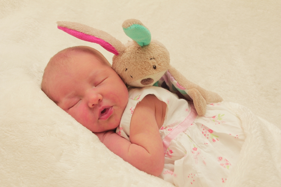 356_KN303_01314325_SABIELNY-316789_Bild-fuer-Zeitung