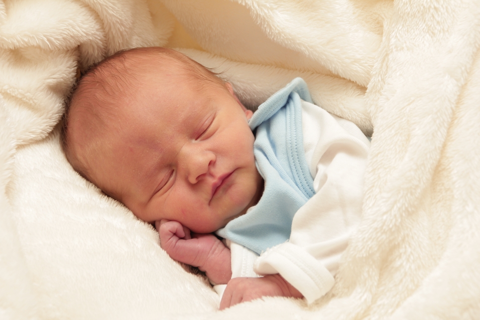 356_KN303_01400375_KOCH-323984_Bild-fuer-Zeitung