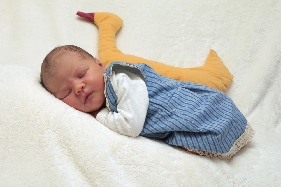 356_KN303_01400377_GOEDEKE-324370_Bild-fuer-Zeitung