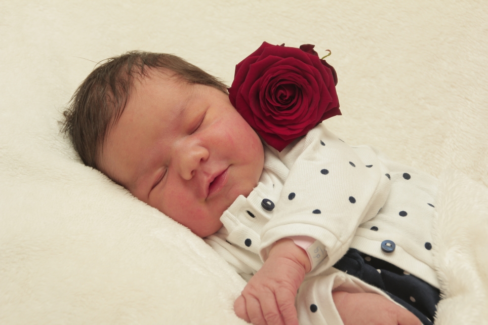 356_KN303_01400780_MANN-324808_Bild-fuer-Zeitung