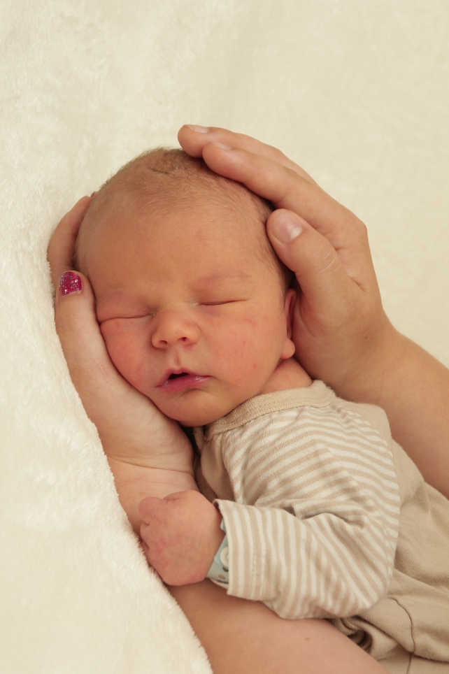 356_KN303_01402610_SCHMIDT-327586_Bild-fuer-Zeitung