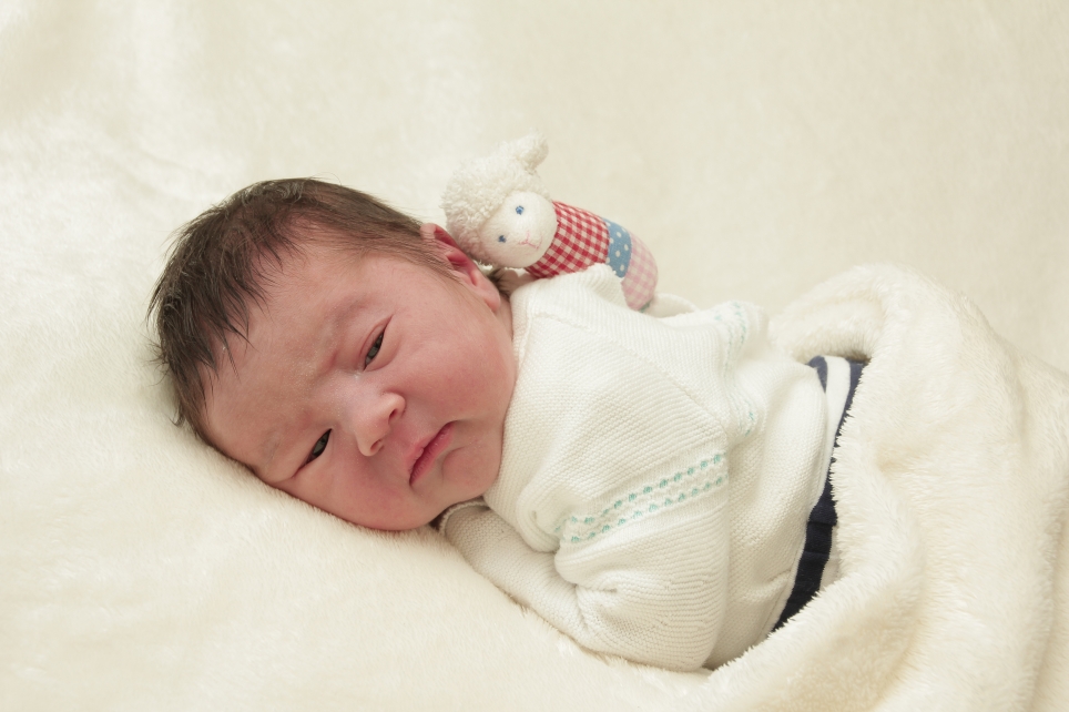 356_KN303_01402613_SCHLIEMANN-327708_Bild-fuer-Zeitung