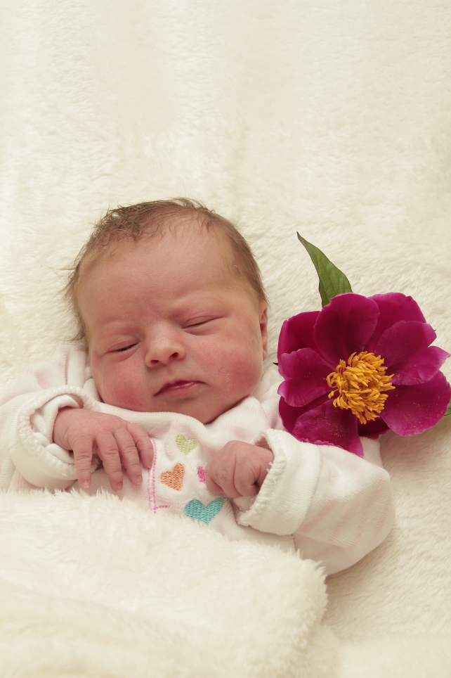 356_KN303_01403601_PANEK-328884_Bild-fuer-Zeitung