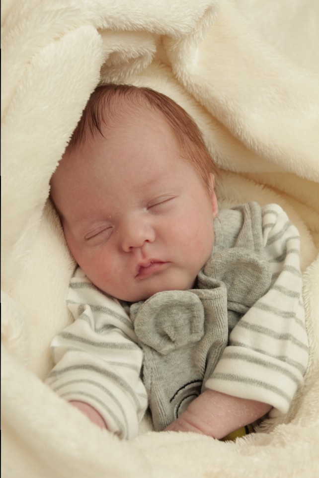 356_KN303_01403608_ULLERICH-329119_Bild-fuer-Zeitung