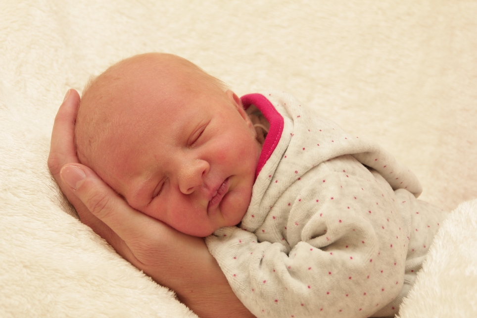 356_KN303_01424030_PIEPER-356688_Bild-fuer-Zeitung