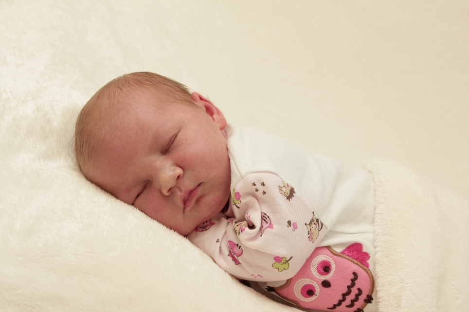 356_KN303_01424031_HAERTEL-356686_Bild-fuer-Zeitung