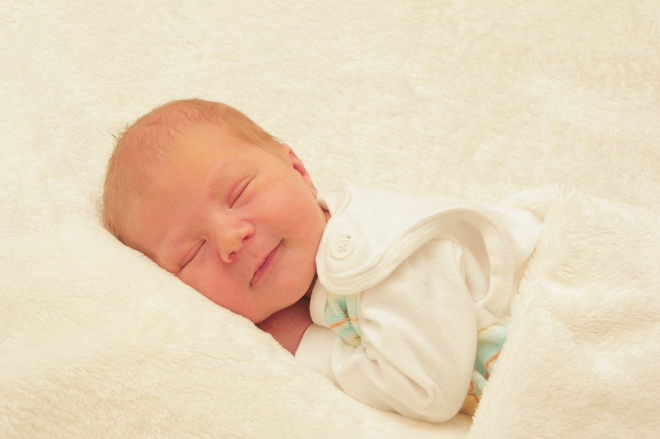 356_KN303_01424032_JULITZ-356667_Bild-fuer-Zeitung