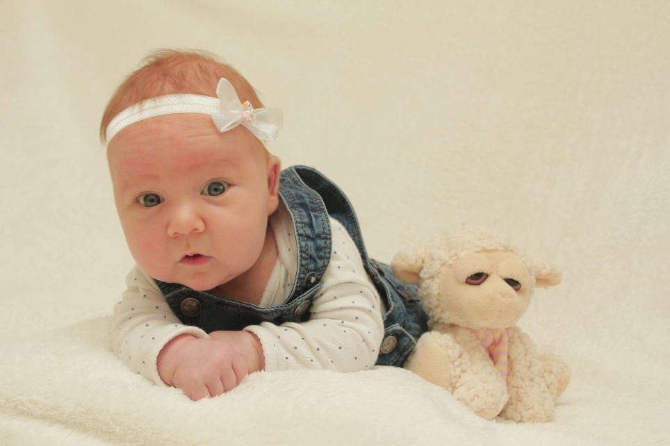 356_KN303_01427091_HENKE-361032_Bild-fuer-Zeitung