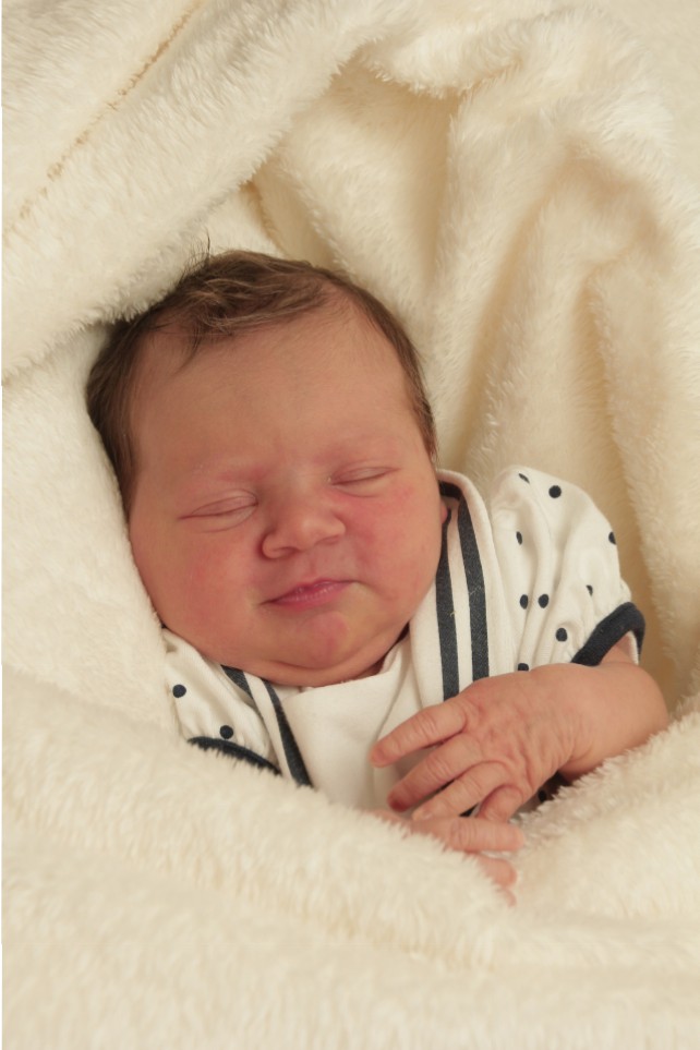 356_KN303_01427927_SCHMIDT-362046_Bild-fuer-Zeitung