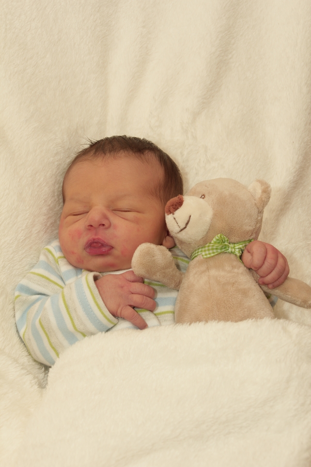 356_KN303_01449853_KITZING-391304_Bild-fuer-Zeitung