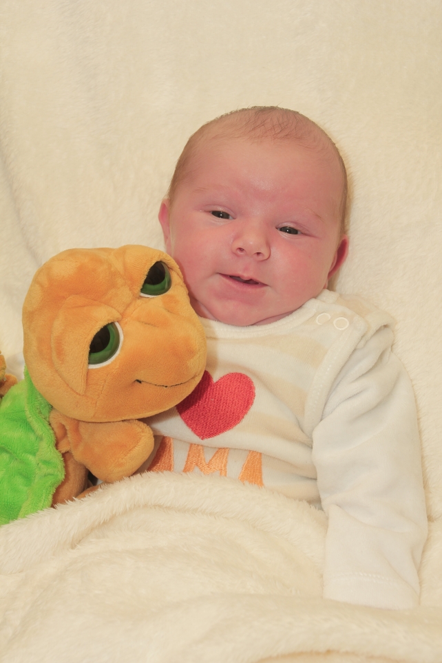 356_KN303_01451157_SCHULZ-393805_Bild-fuer-Zeitung