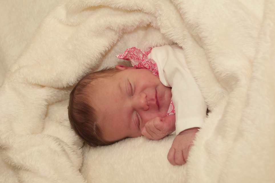 356_KN303_01451244_LUX-393907_Bild-fuer-Zeitung