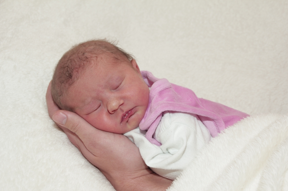 356_KN303_01451245_SPECK-393912_Bild-fuer-Zeitung