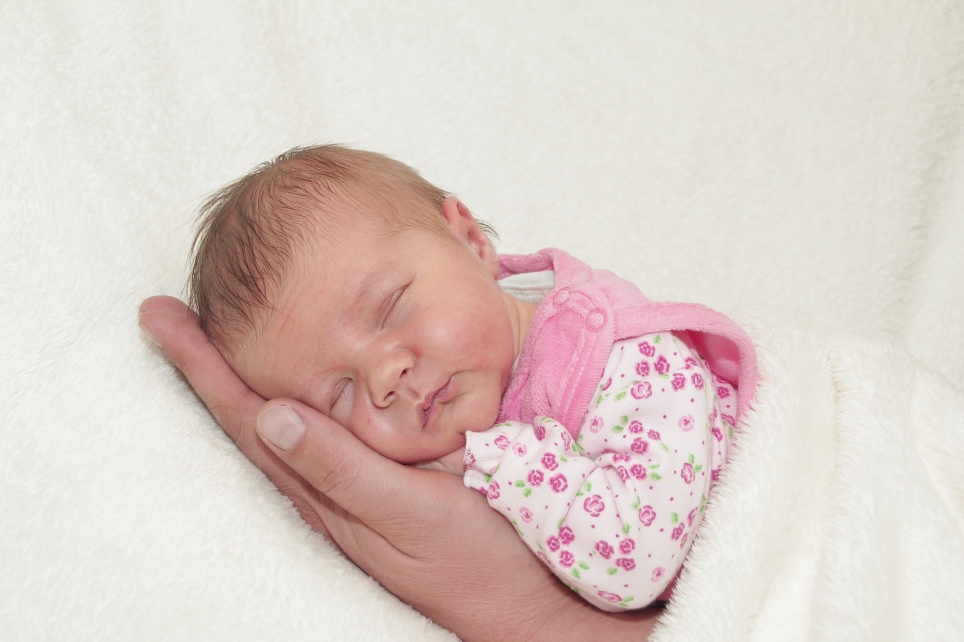 356_KN303_01454553_MARKWART-402864_Bild-fuer-Zeitung