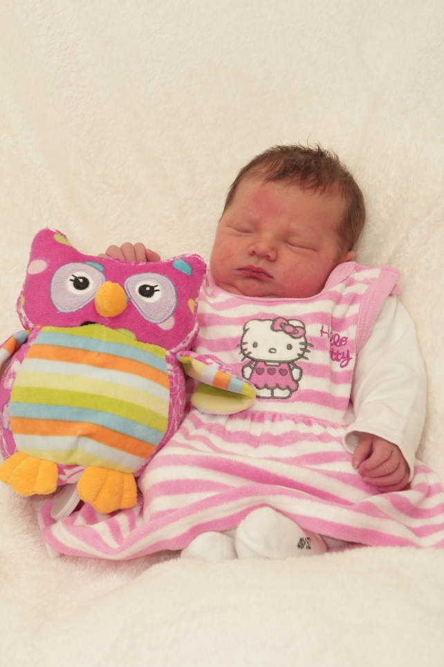 356_KN303_01454554_SIMDORN-402822_Bild-fuer-Zeitung