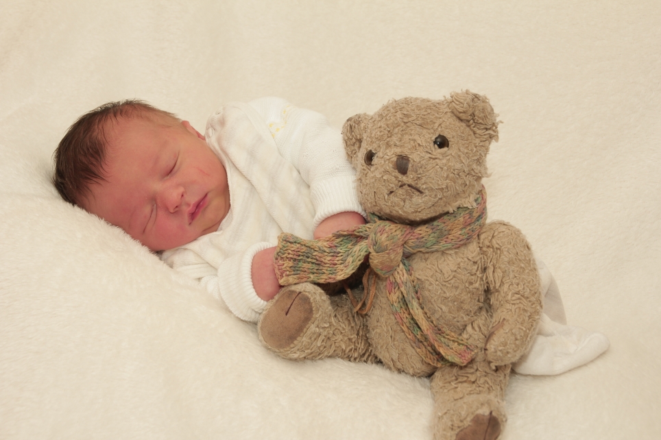 356_KN303_01454556_SCHMIDT-402845_Bild-fuer-Zeitung