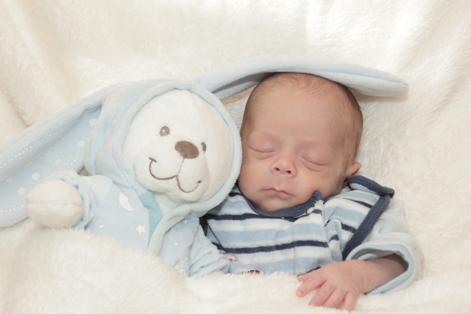 356_KN303_01454557_HAASLER-402844_Bild-fuer-Zeitung