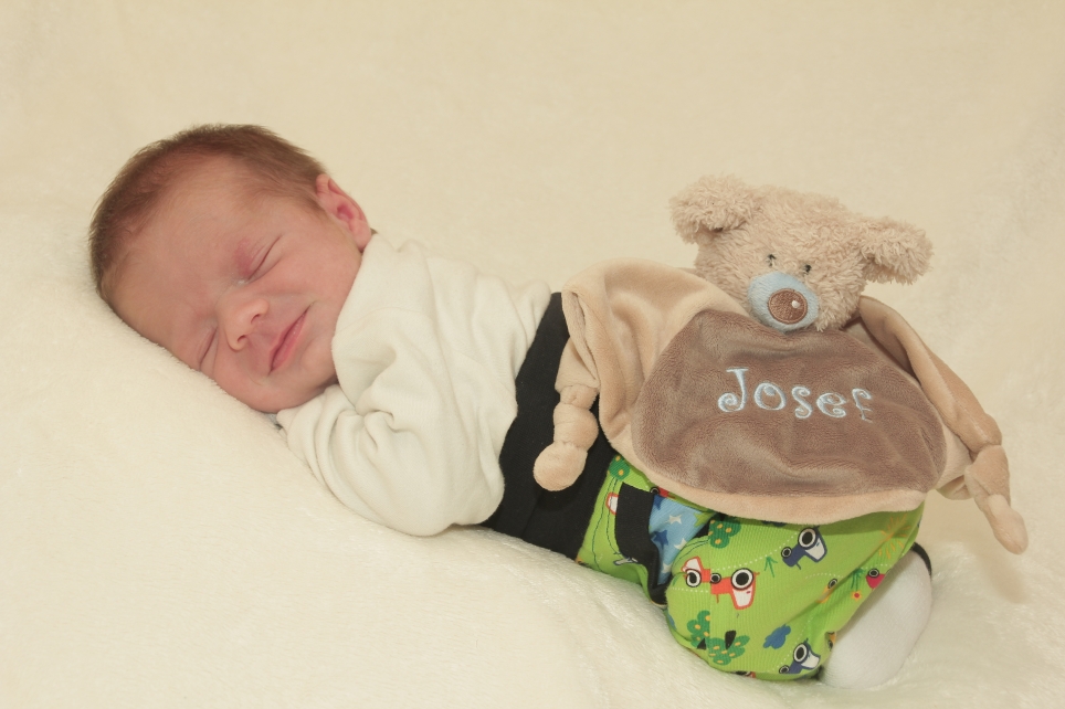 356_KN303_05006827_LANG-389813_Bild-fuer-Zeitung