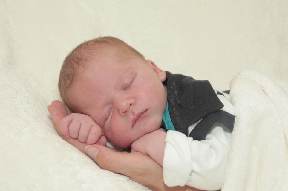 356_KN303_05006829_LISON-389828_Bild-fuer-Zeitung