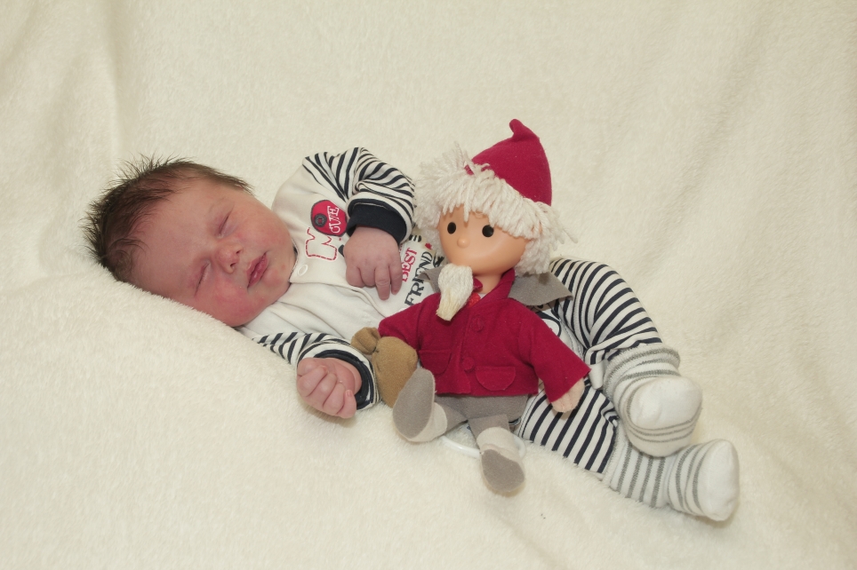 356_KN303_05006974_MUELLER-393881_Bild-fuer-Zeitung