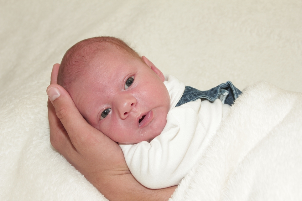 356_KN303_05006976_SCHULZ-393885_Bild-fuer-Zeitung