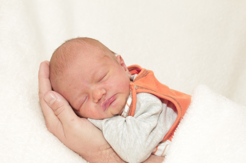 356_KN303_01456508_HILLE-408298_Bild-fuer-Zeitung