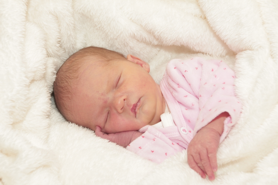 356_KN303_01457794_WILK-411730_Bild-fuer-Zeitung