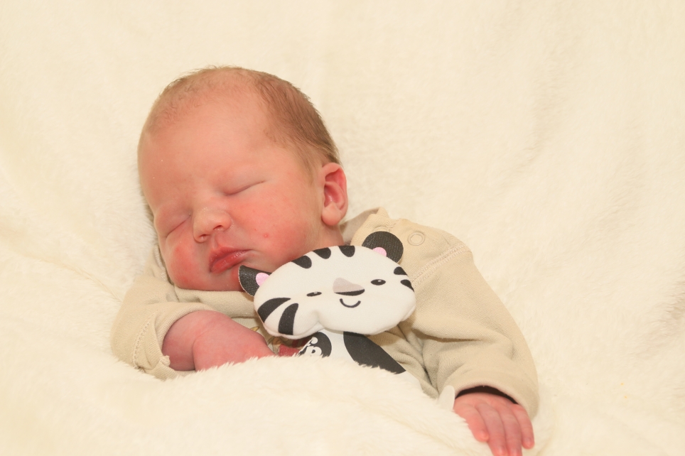 356_KN303_01459387_KAAPKE-413765_Bild-fuer-Zeitung