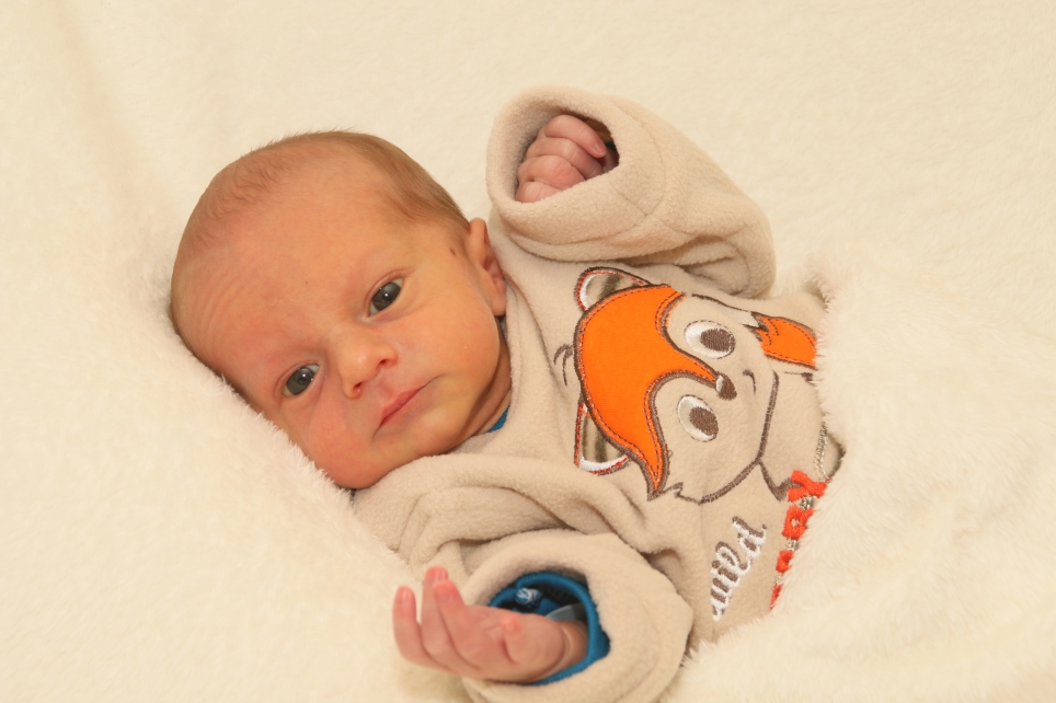 356_KN303_01466451_BRAUN-423529_Bild-fuer-Zeitung