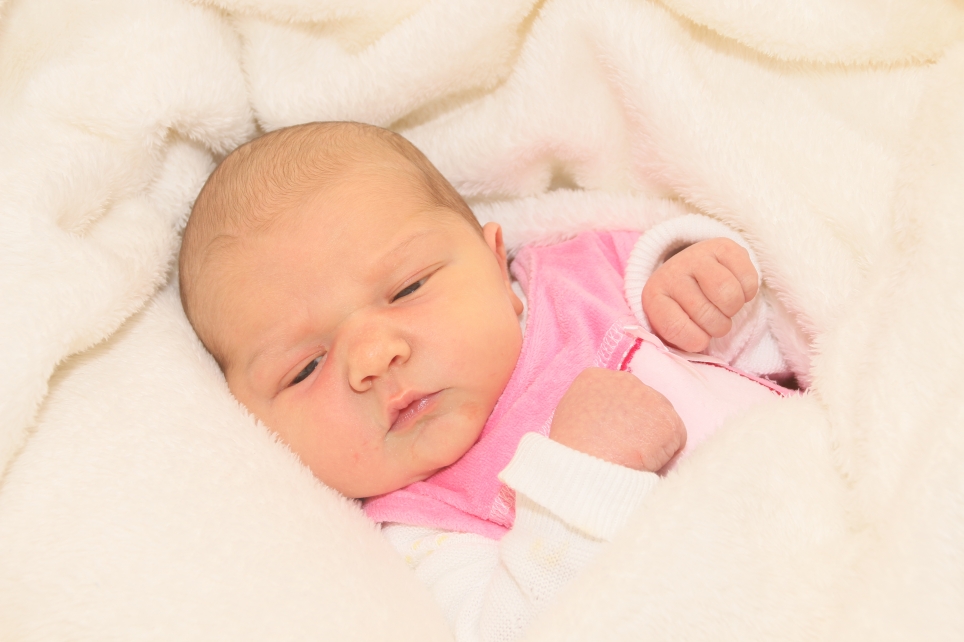 356_KN303_01466452_KOEPP-423541_Bild-fuer-Zeitung