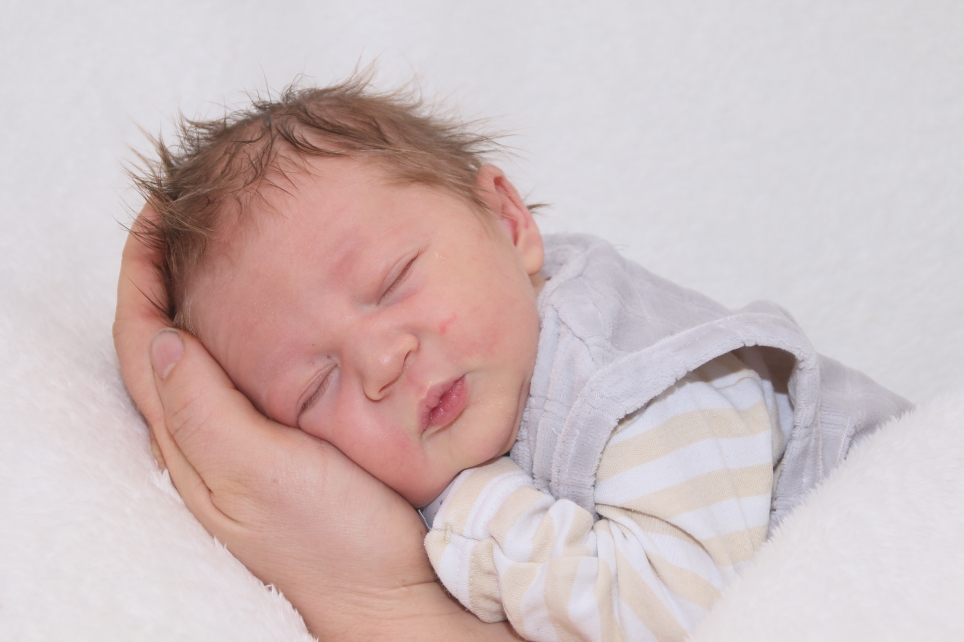 356_KN303_05007766_GRUENZEL-424982_Bild-fuer-Zeitung