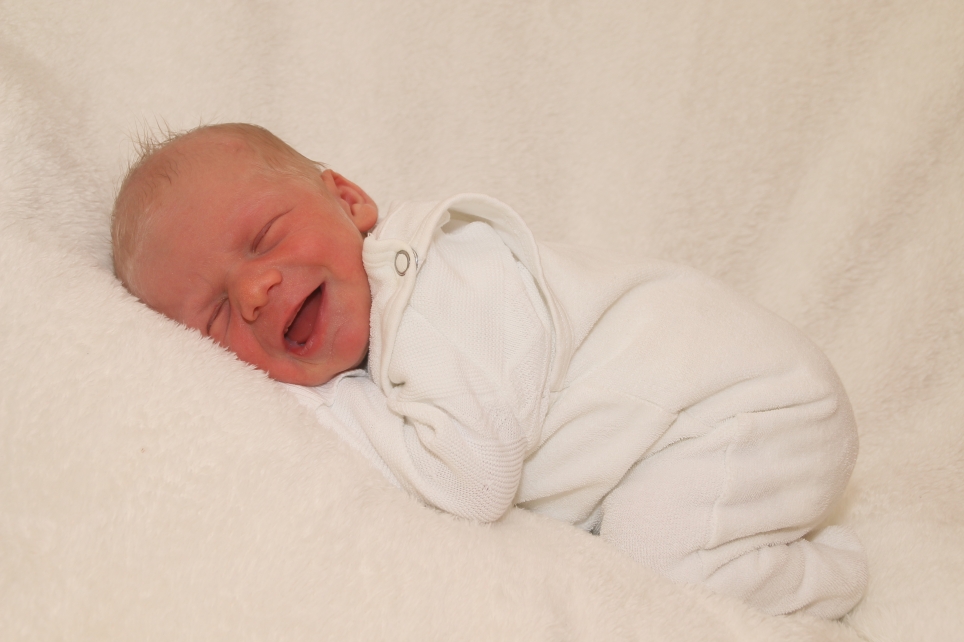 356_KN303_01469749_PITANN-427910_Bild-fuer-Zeitung