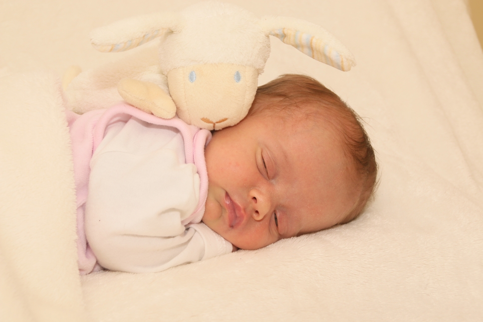 356_KN303_01484536_FISCHER-447498_Bild-fuer-Zeitung