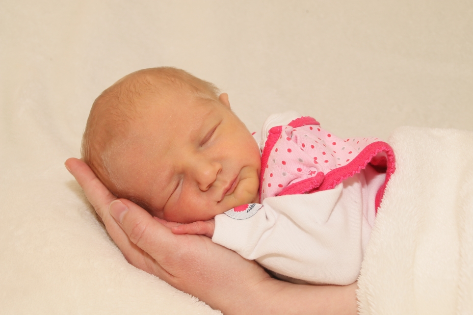 356_KN303_01485763_KUBSCH-448926_Bild-fuer-Zeitung