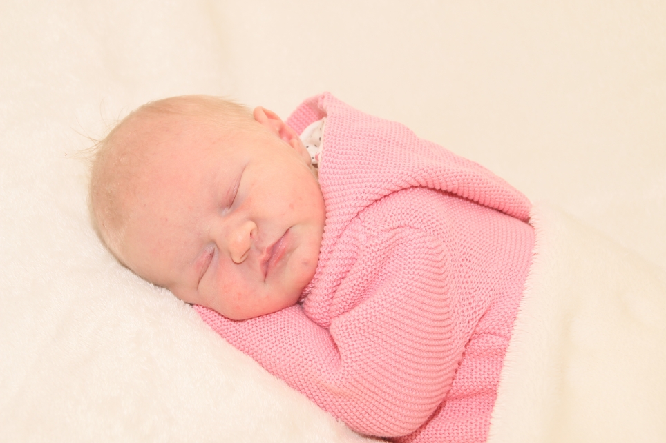 356_KN303_01486765_KNUST-450194_Bild-fuer-Zeitung