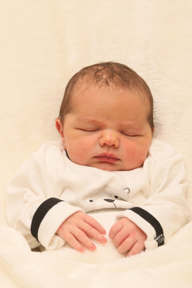 356_KN303_01486766_STEIN-450170_Bild-fuer-Zeitung