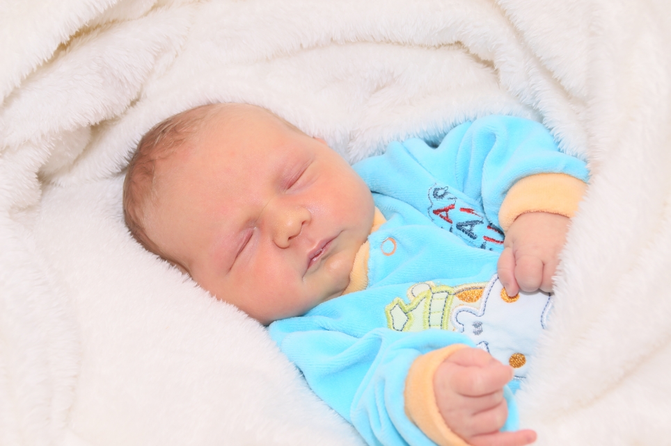 356_KN303_01487564_BOEHM-451247_Bild-fuer-Zeitung