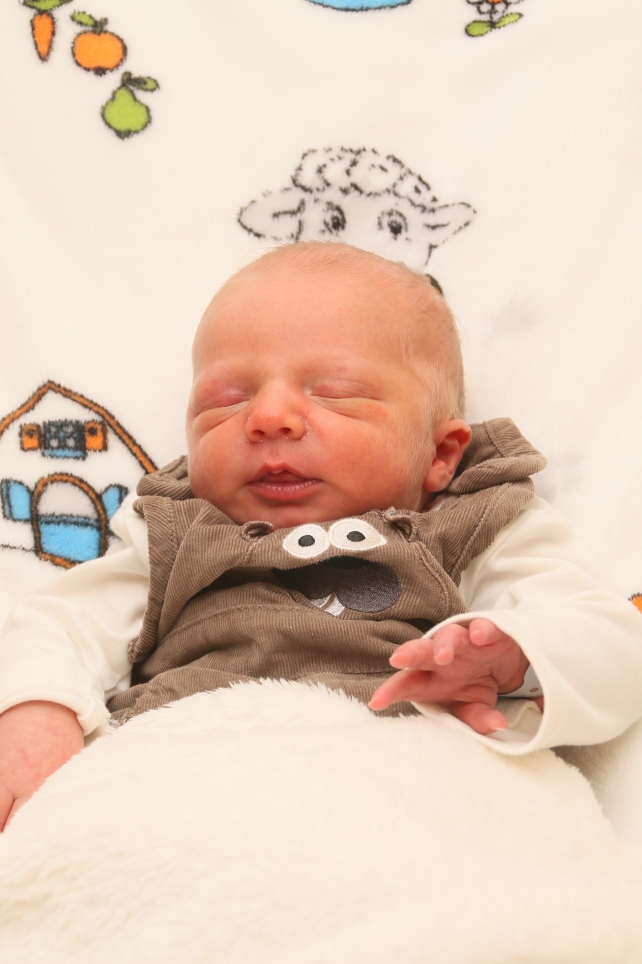 356_KN303_01487565_VOSS-451266_Bild-fuer-Zeitung