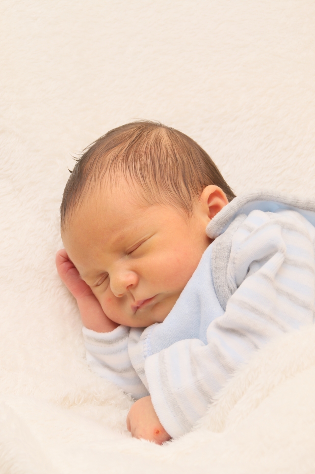 356_KN303_01487566_DALLMANN-451316_Bild-fuer-Zeitung