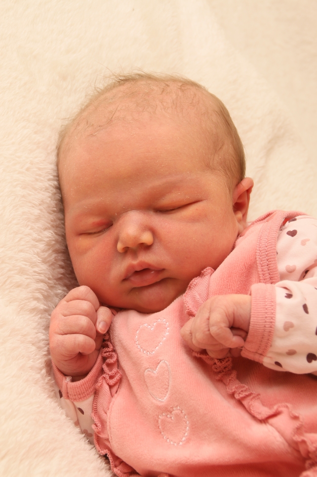 356_KN303_01488606_VOIGT-452802_Bild-fuer-Zeitung