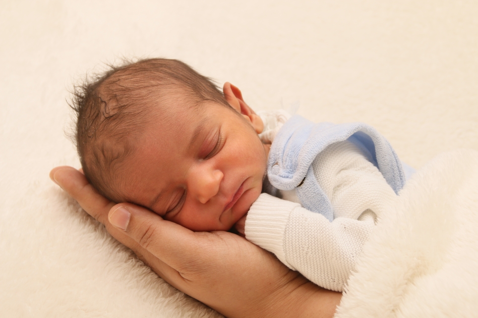 356_KN303_01491792_SINGH-456838_Bild-fuer-Zeitung