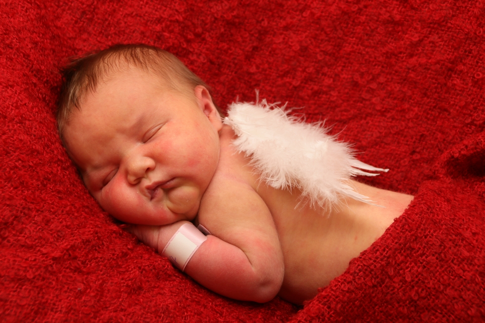 356_KN303_05008737_RADLOFF-454636_Bild-fuer-Zeitung