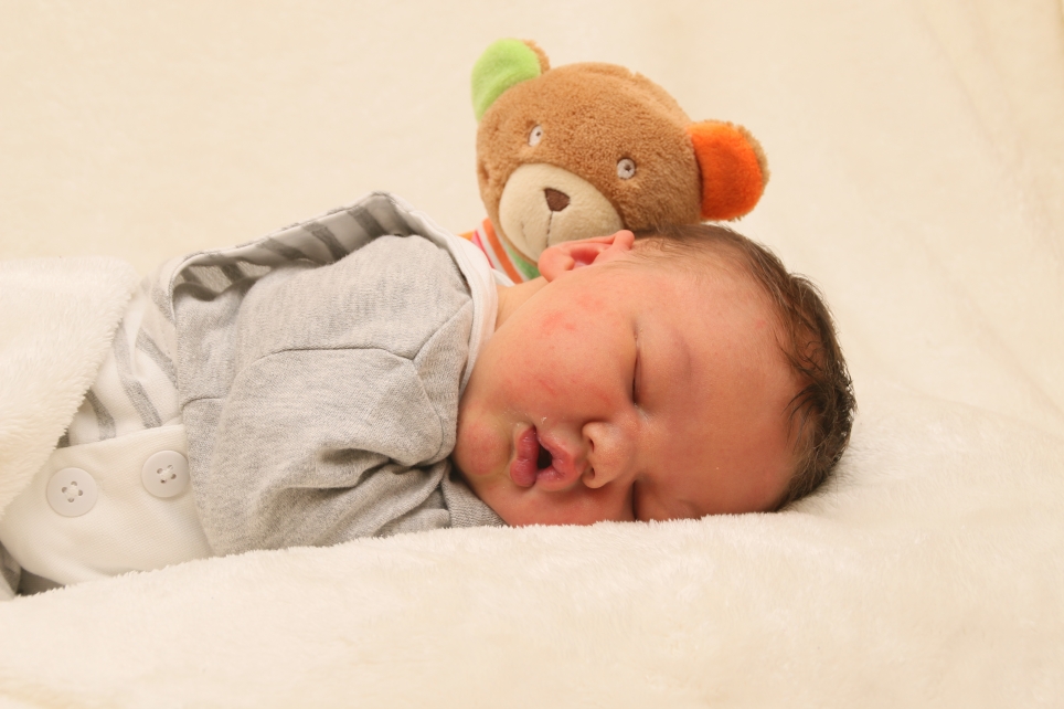 356_KN303_01499002_SCHUMANN-473417_Bild-fuer-Zeitung