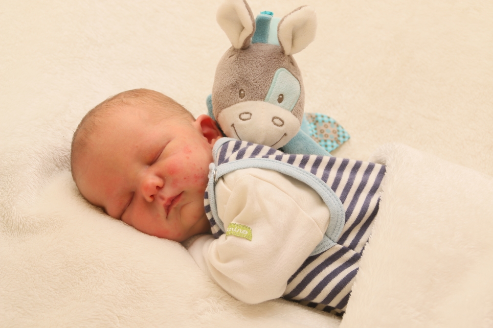 356_KN303_01500282_PAPE-475014_Bild-fuer-Zeitung