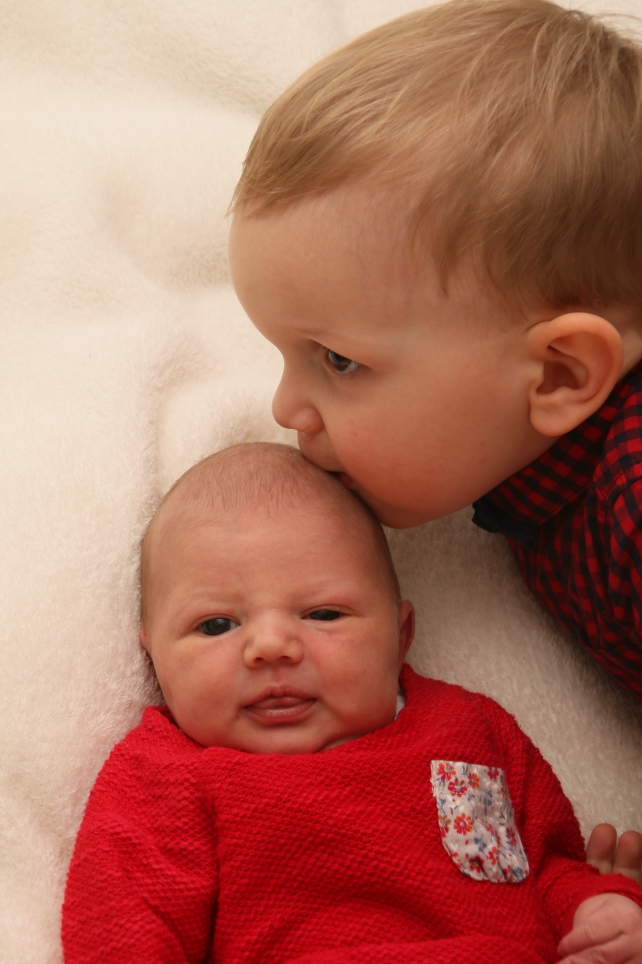 356_KN303_01500284_GEHL-475016_Bild-fuer-Zeitung